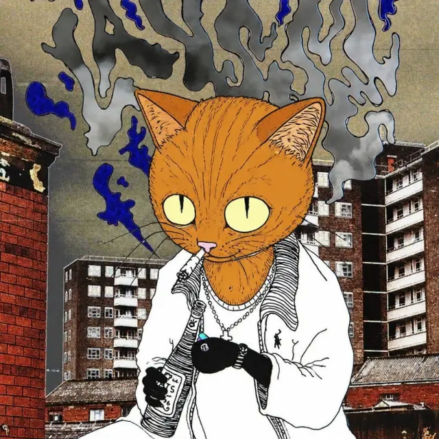 猫头街区狠角色变身
