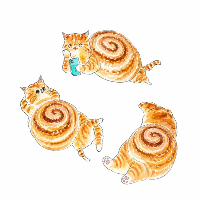 三姿态肉桂卷猫