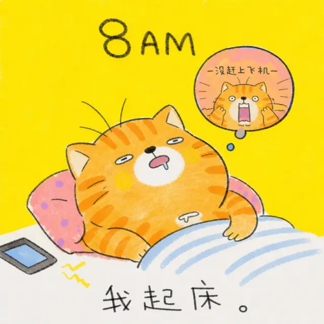 飞机都误了，我才起床