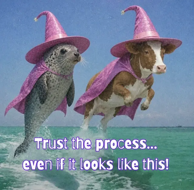 Trust the process
