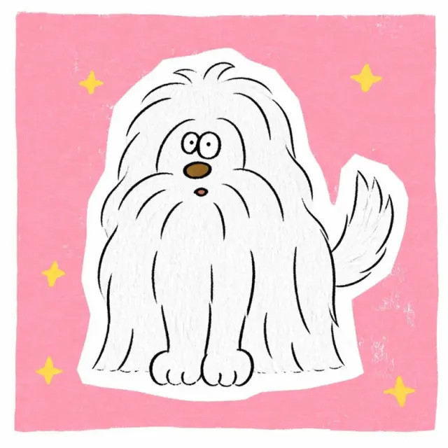 粉底蓬毛犬贴纸