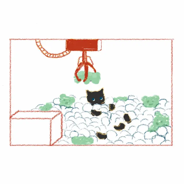 抓娃娃机里的猫咪奖品