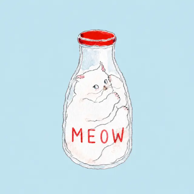 玻璃奶瓶里的猫