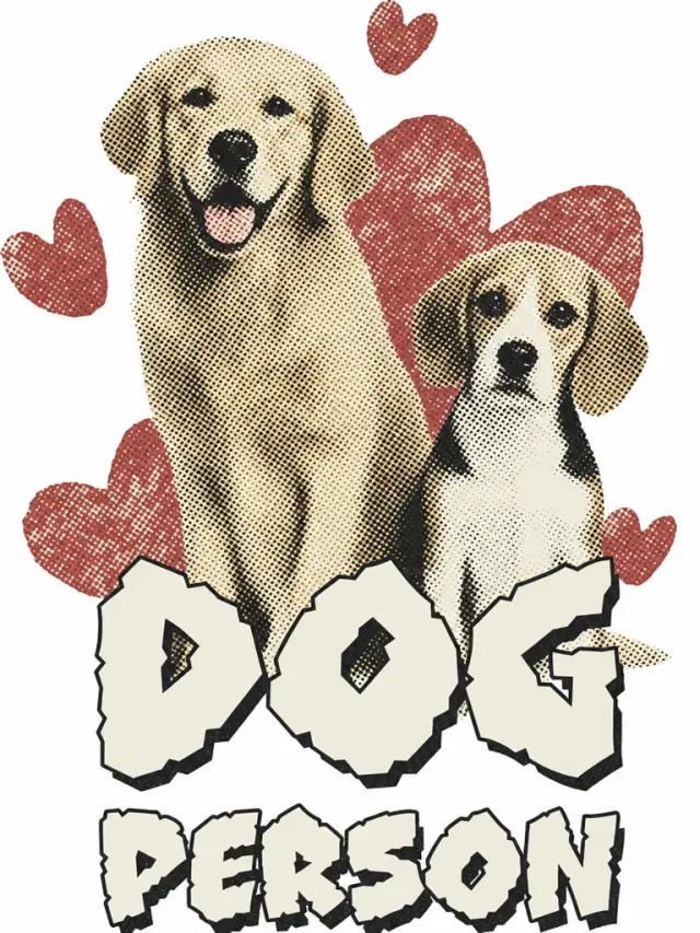 金毛和比格犬在爱心前报到