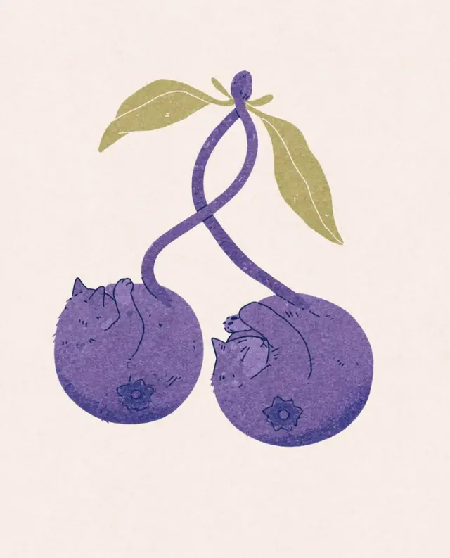 双猫樱桃果实插画