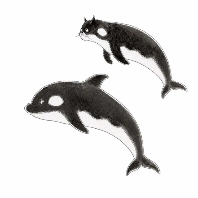 双猫海洋变身水彩