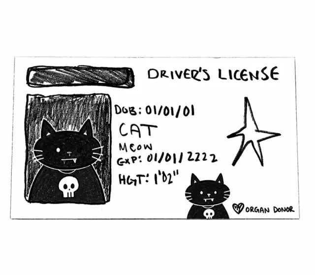 猫咪手绘驾驶证