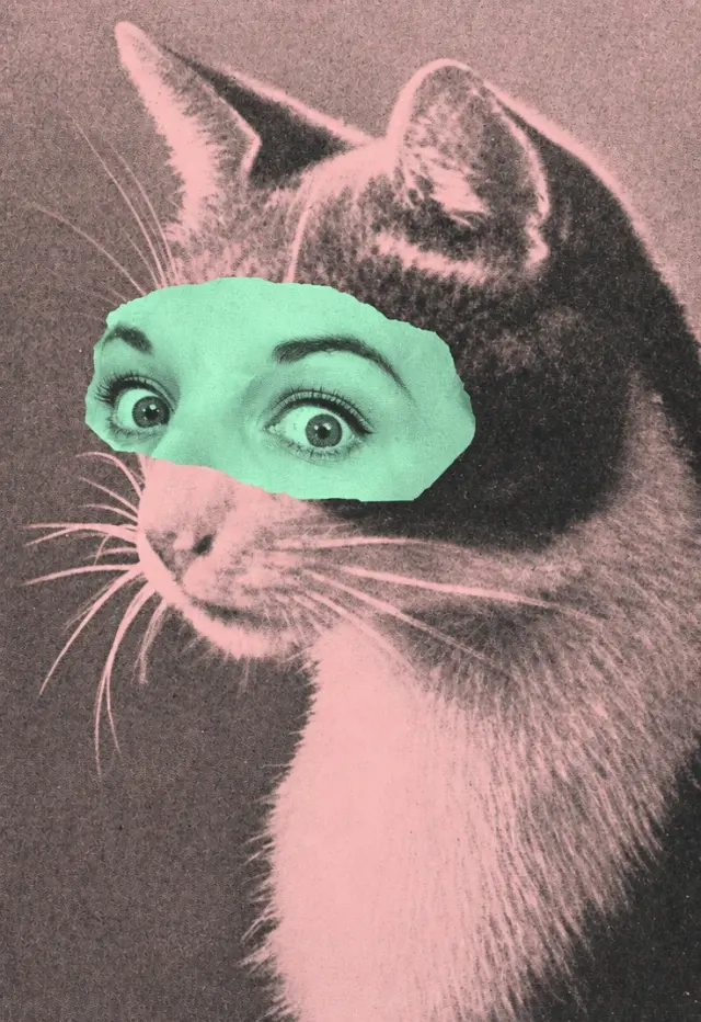 猫脸人眼拼贴