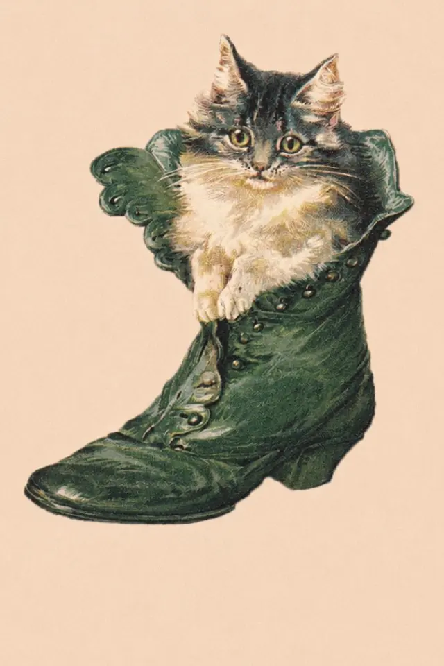 古董皮靴里藏着小猫