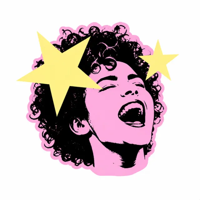 尖叫星星丝网画报