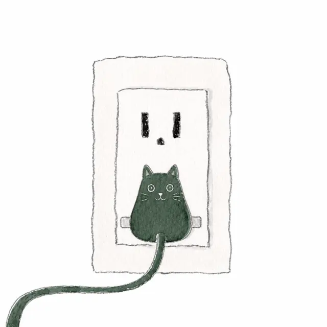 猫咪变成墙上插头