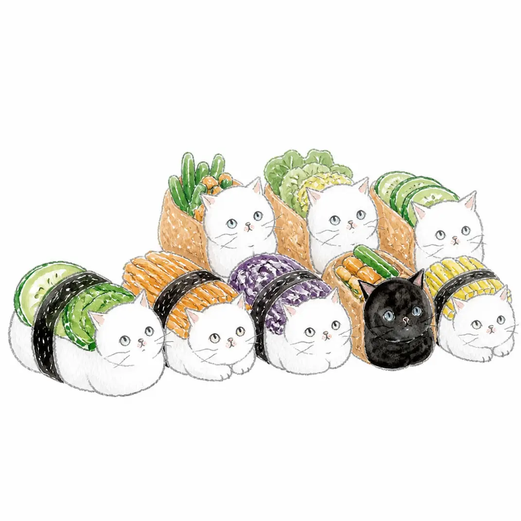 猫咪变成寿司拼盘
