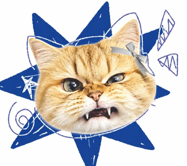 怒脸猫爆炸星芒贴纸
