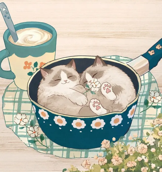 锅里睡着两小只