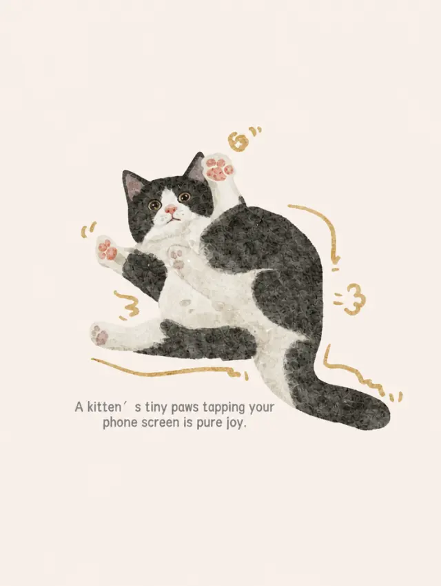 猫爪敲敲手机屏幕