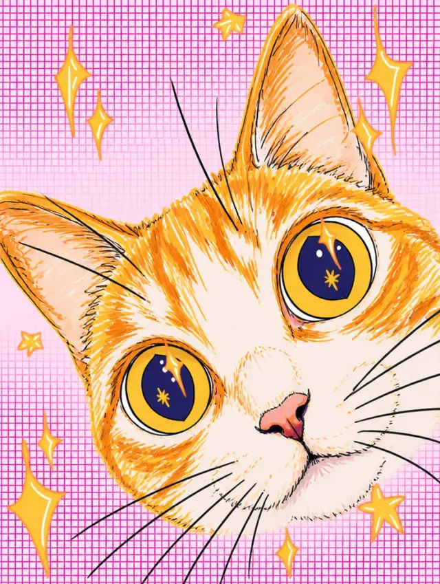 歪头猫的月亮眼