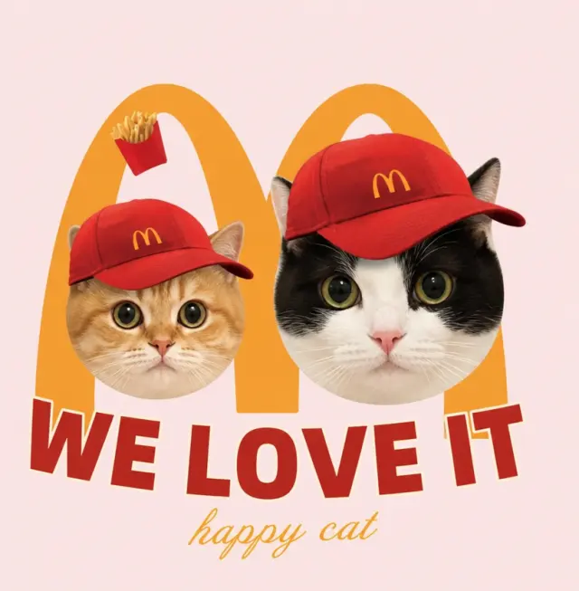 双猫戴上金拱门红帽