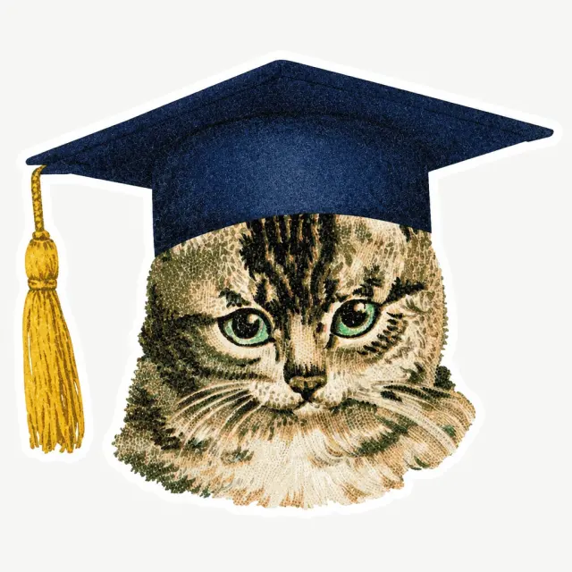 狸花猫把学士帽戴好啦