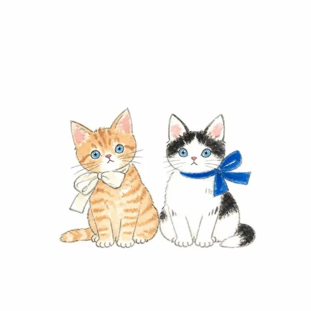 蝴蝶结双猫并肩坐