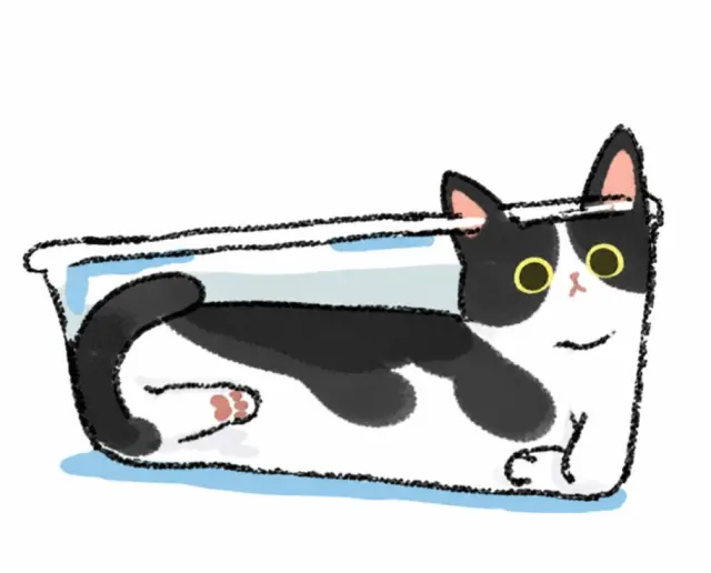 猫咪拉成长长一条