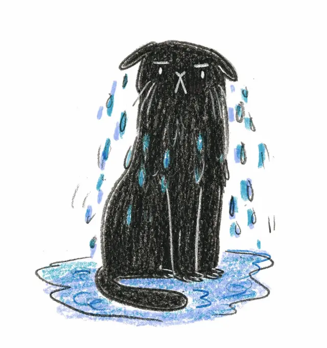 眼泪汇成一片水洼