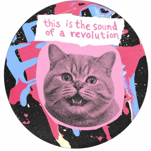 猫咪喊出革命之声