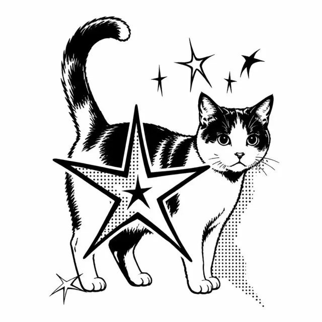 一颗大星星压住猫咪