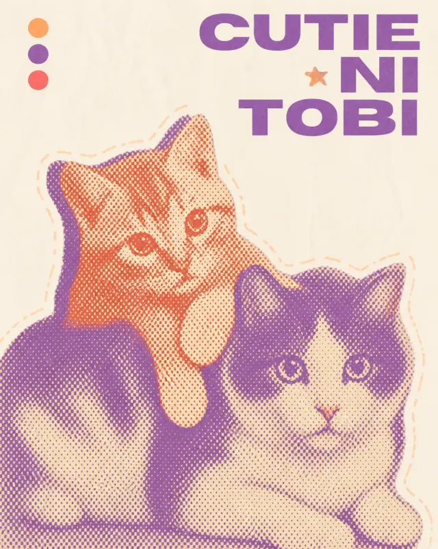 前后两只猫都到齐